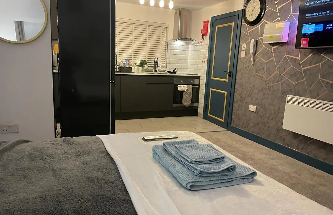 Lovely Studio Apartment Located In Birmingham-1