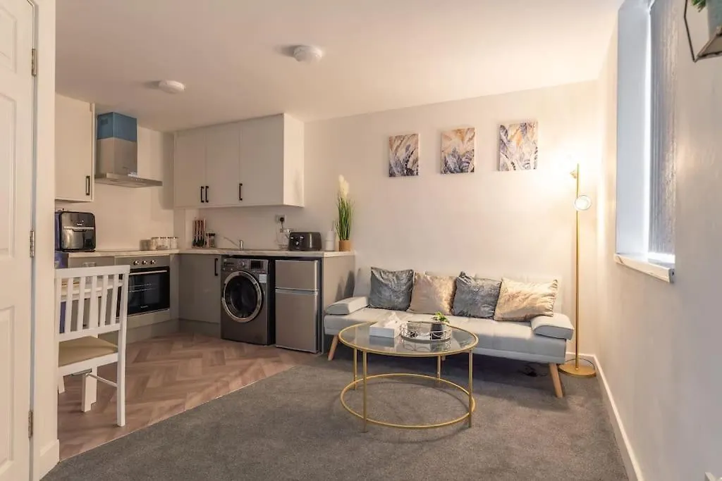 1 Bedroom Apartment - Netflix - Close To City Centre And Nec-1