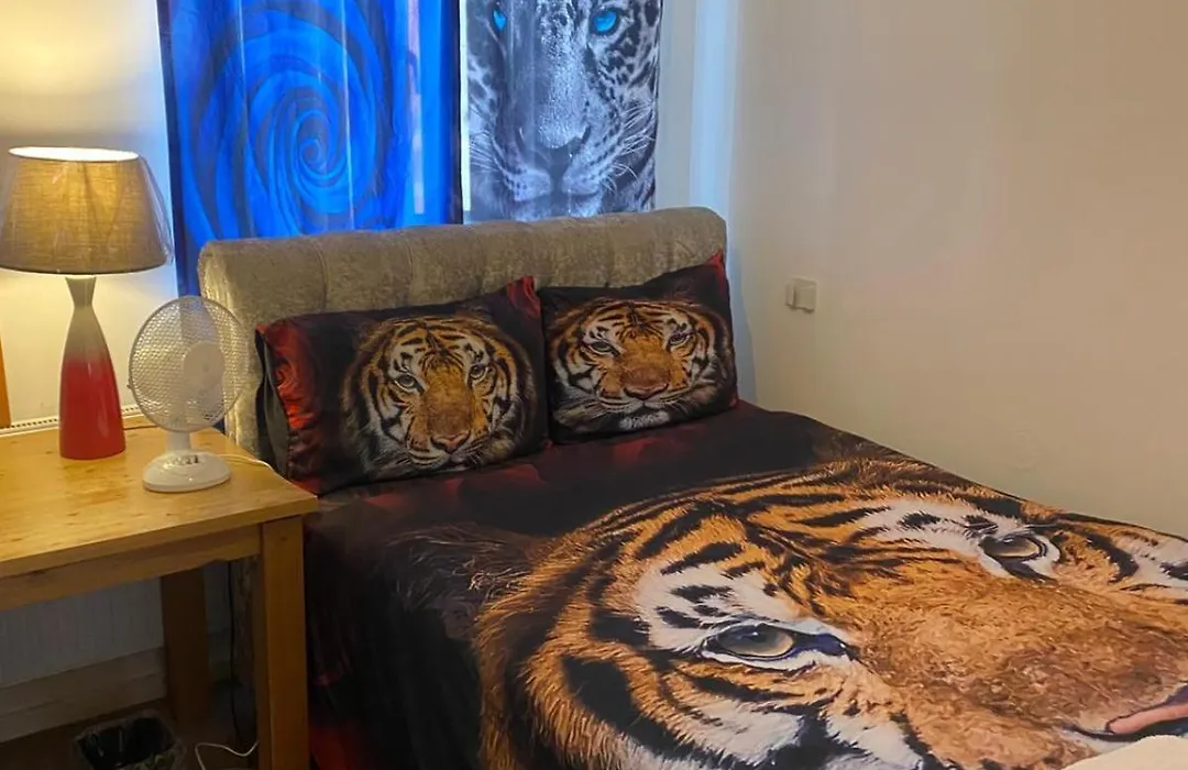 1 Bedroom Rentals In Birmingham-1
