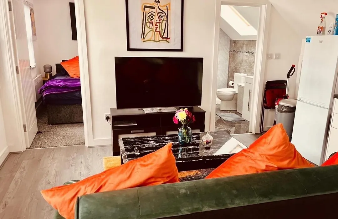Birmingham Apt-Sleeps 4-Walk To City Centre-Pets-1