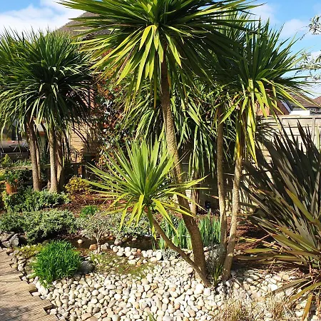 Tropical Garden Oasis Rooms-2