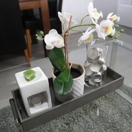 Homely 1-Bed Apartment In Birmingham-2