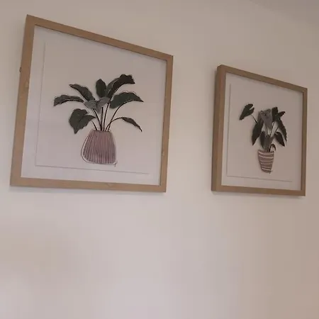 Jedid Kings Heath Apartment-3