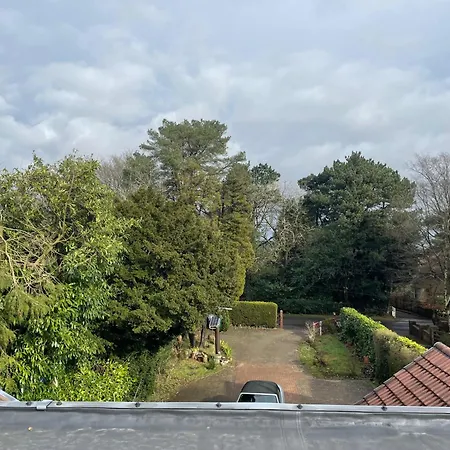 Studio-Lickeyhills-Nearattractions-Garden-1 Pet Ok-3