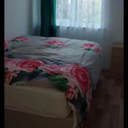 Veggie Single Room Nec-3