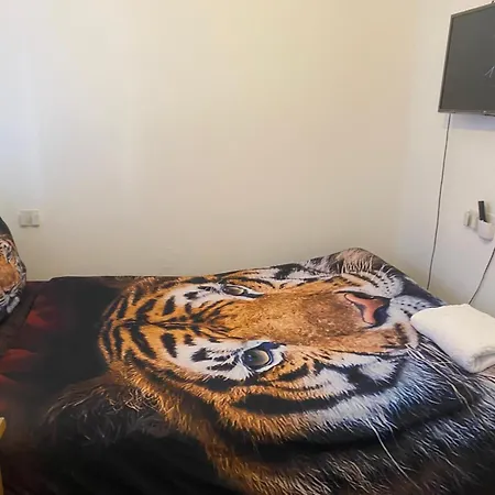1 Bedroom Rentals In Birmingham-2