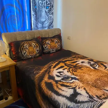 1 Bedroom Rentals In Birmingham-3