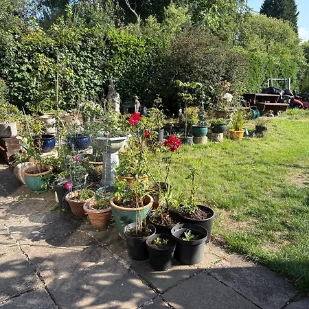 Studio-Lickeyhills-Nearattractions-Garden-1 Pet Ok-2