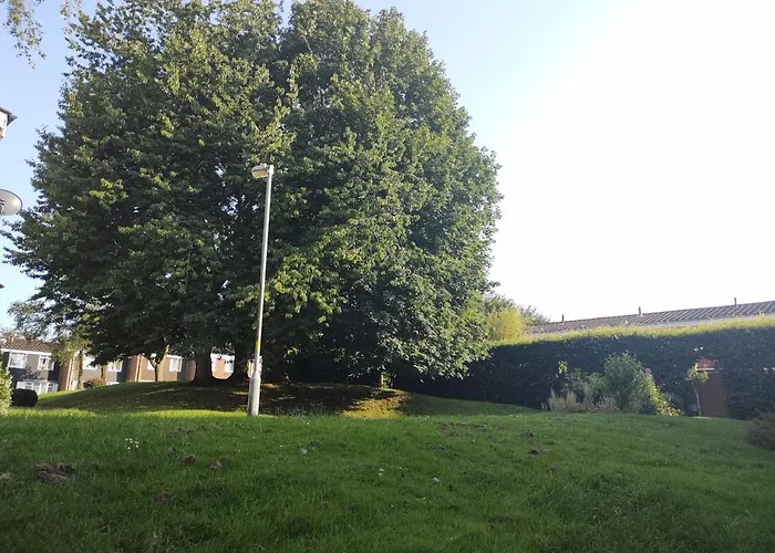 Homestay Near A Station And Park Birmingham