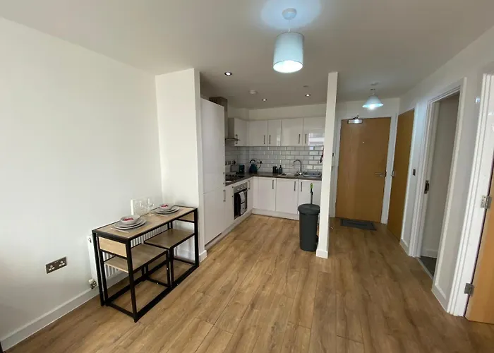 Deluxe Central Apartment - Fast Wifi- Utilitia Arena - Icc - Sea Life Centre Birmingham