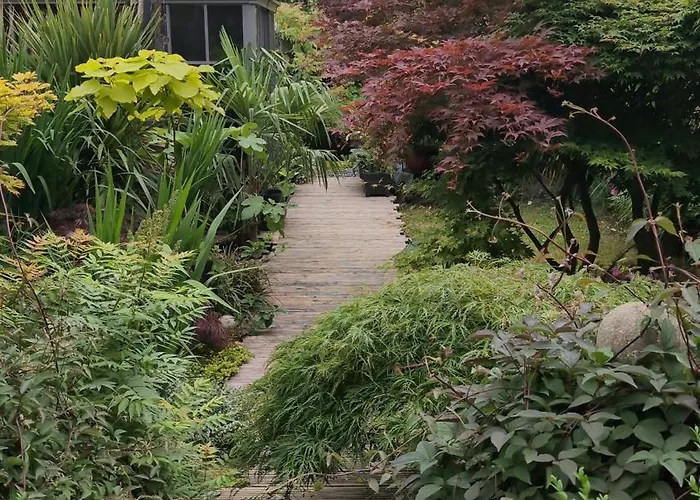Tropical Garden Oasis Rooms Birmingham