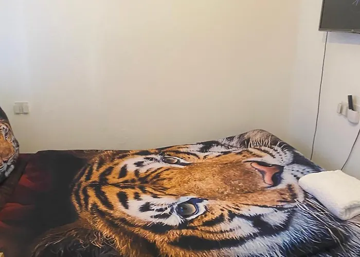 1 Bedroom Rentals In Birmingham