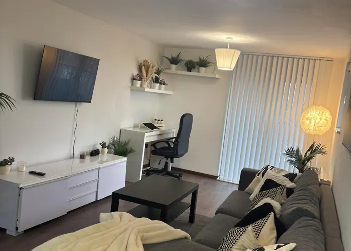 Charming Apartment Near Nec And Birmingham Airport