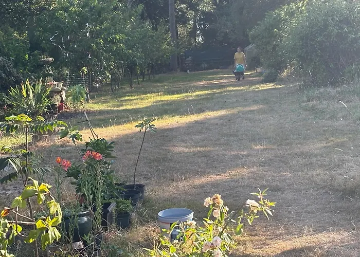 Studio-Lickeyhills-Nearattractions-Garden-1 Pet Ok Birmingham